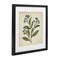 Stupell Industries Blue Buds Botanical Illustration Framed Print Under Glass, design by Petal Prints Design